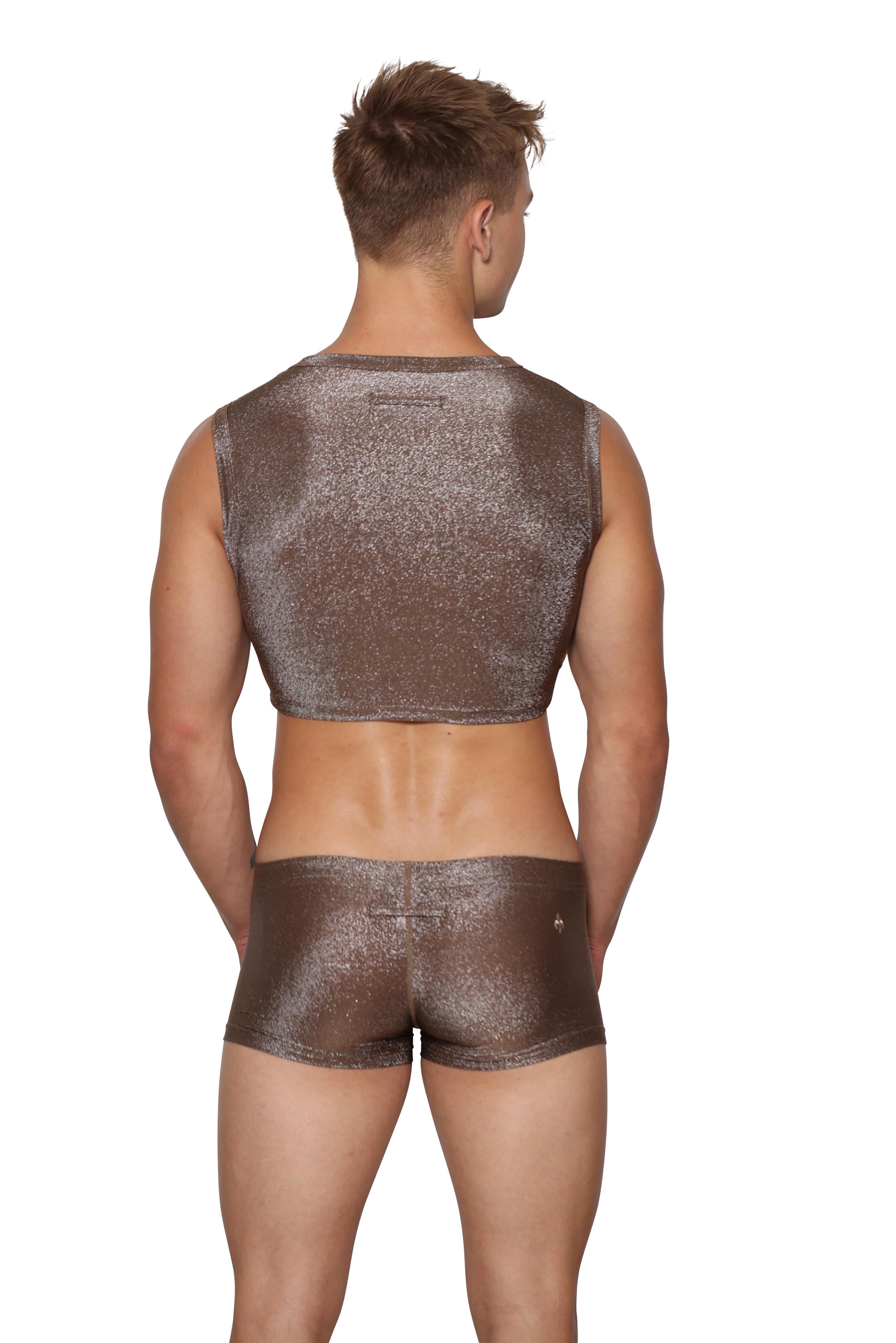 #color_Glisten Top Bronze