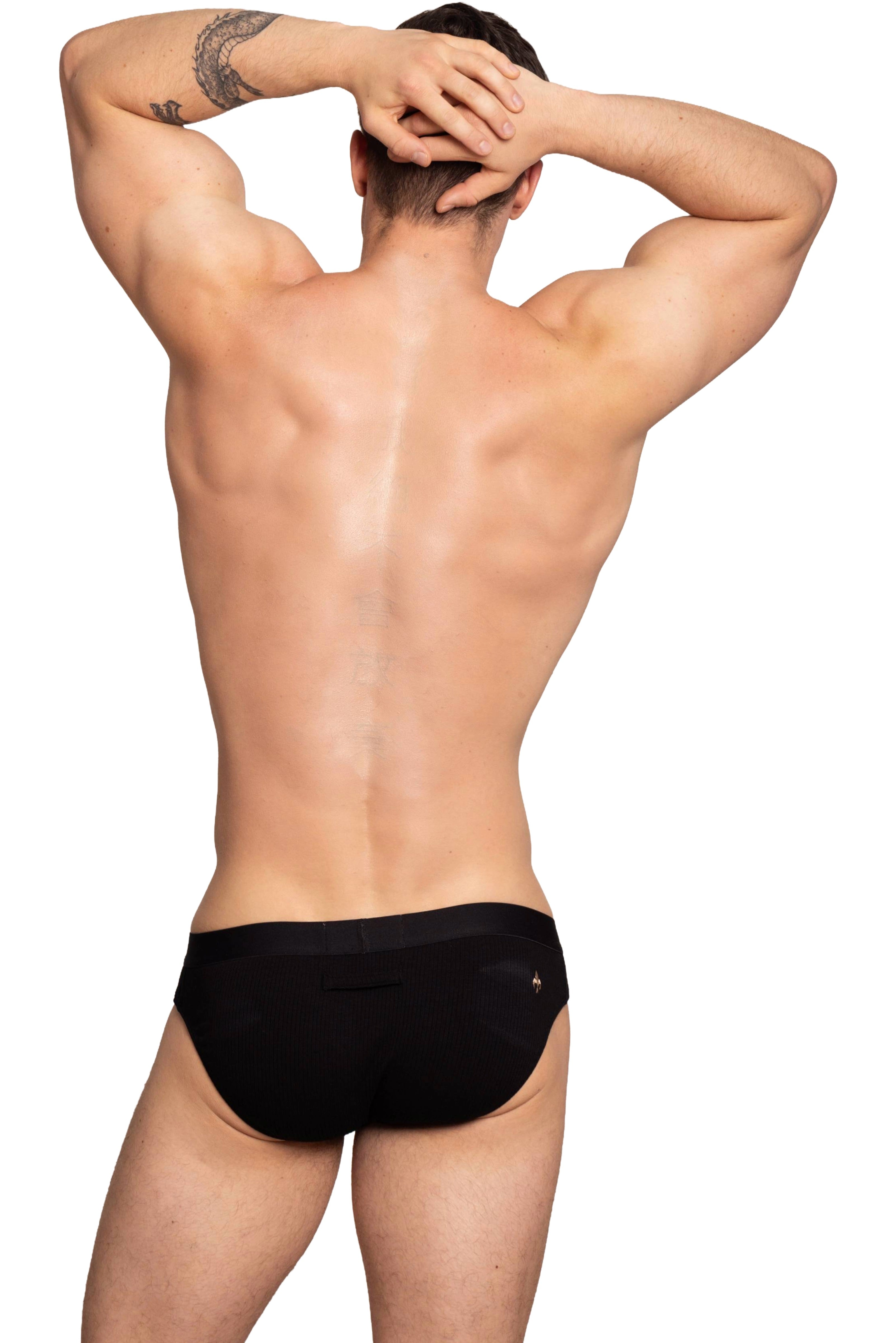 #color_Passant brief black