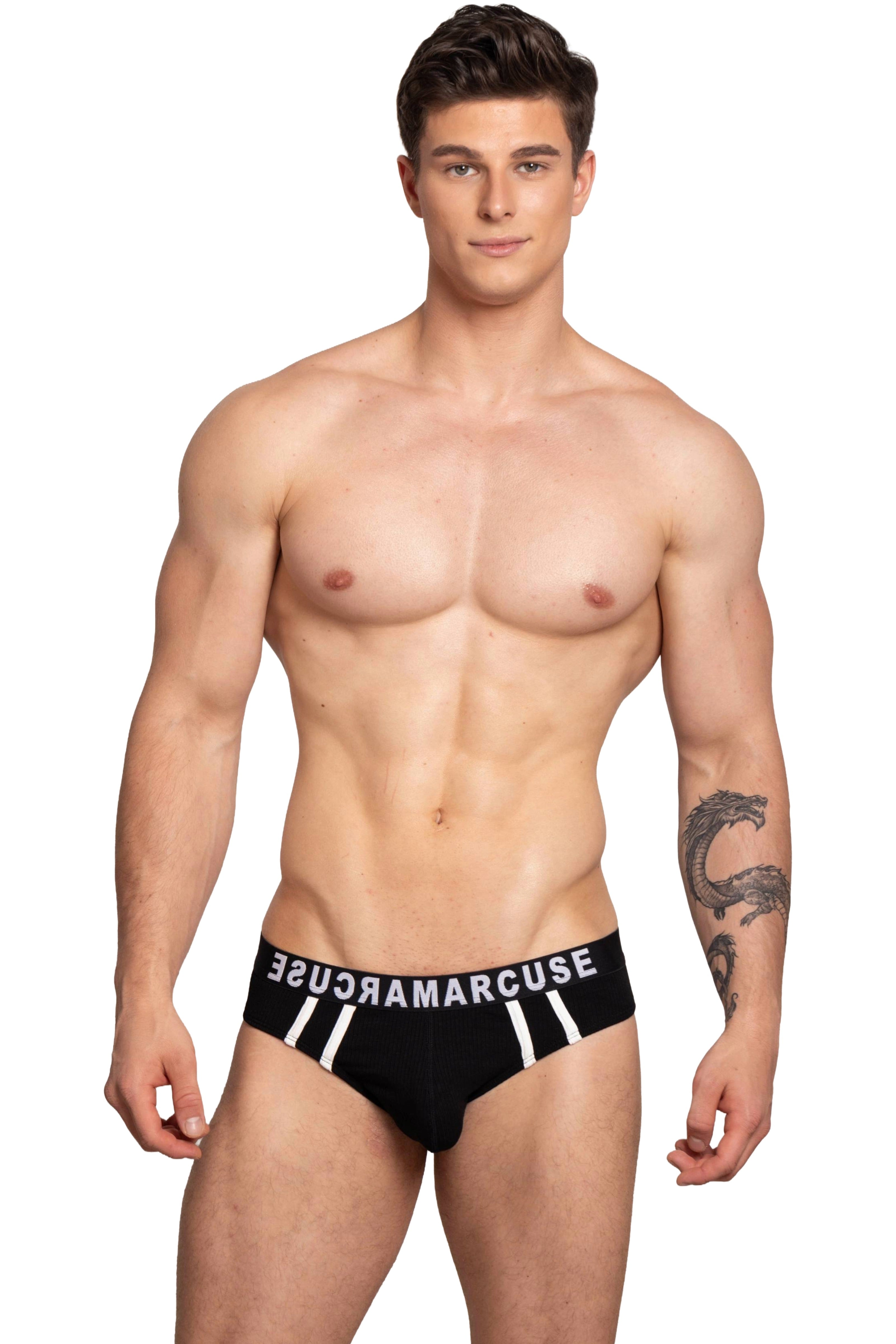 #color_Passant brief black