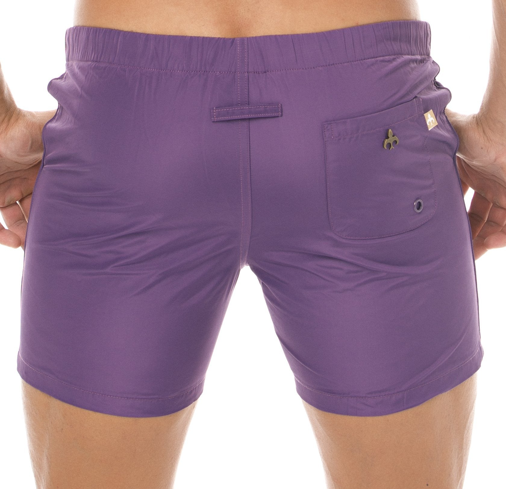 #Spectrum purple#colour_spectrum purple