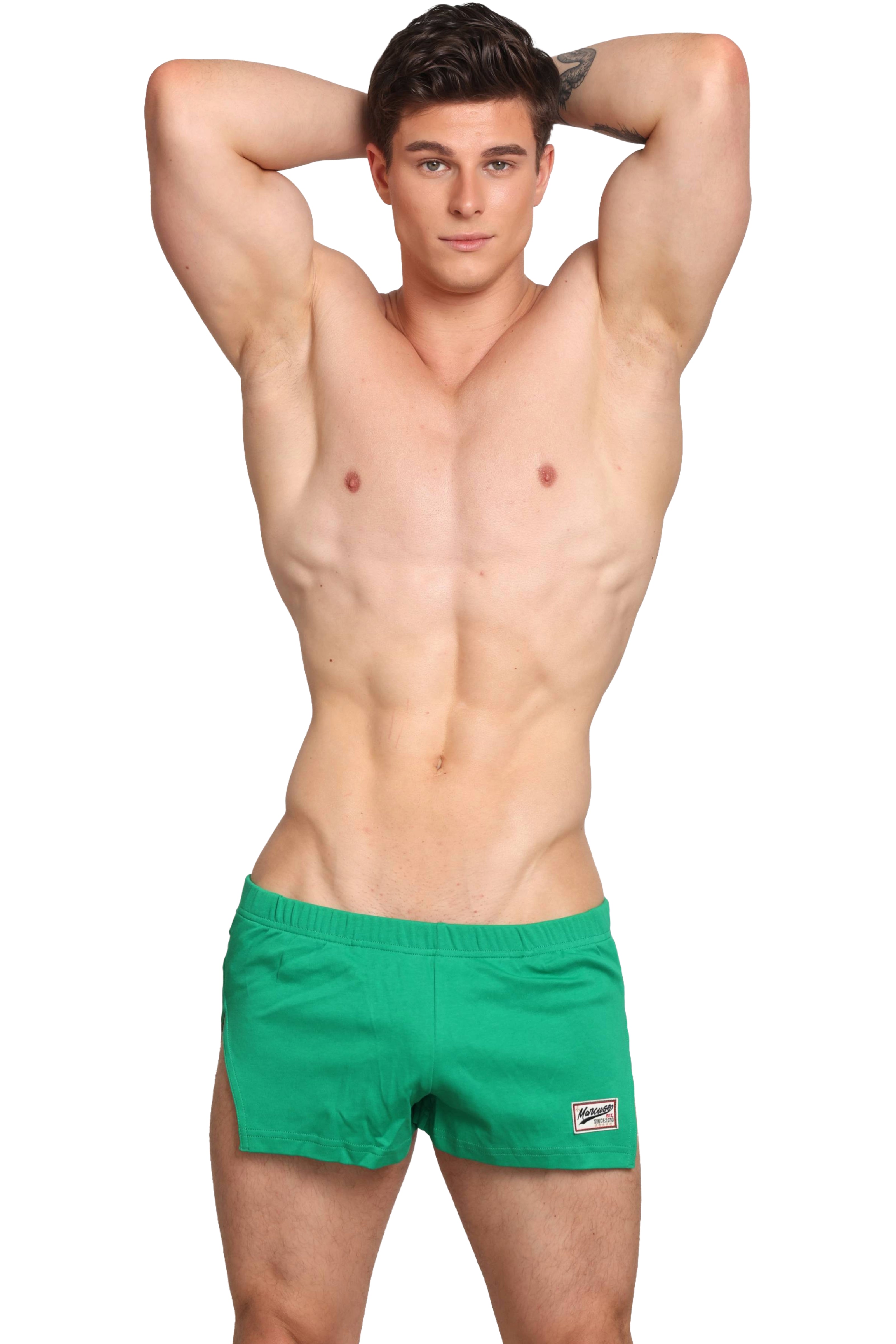 #color_Hansar shorts green